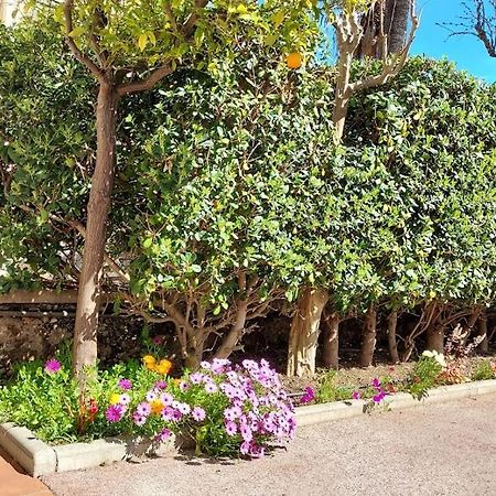 Rez-De-Chaussee Privatif Spacieux 3* D'Une Villa Centre Ville Hyeres Bagian luar foto