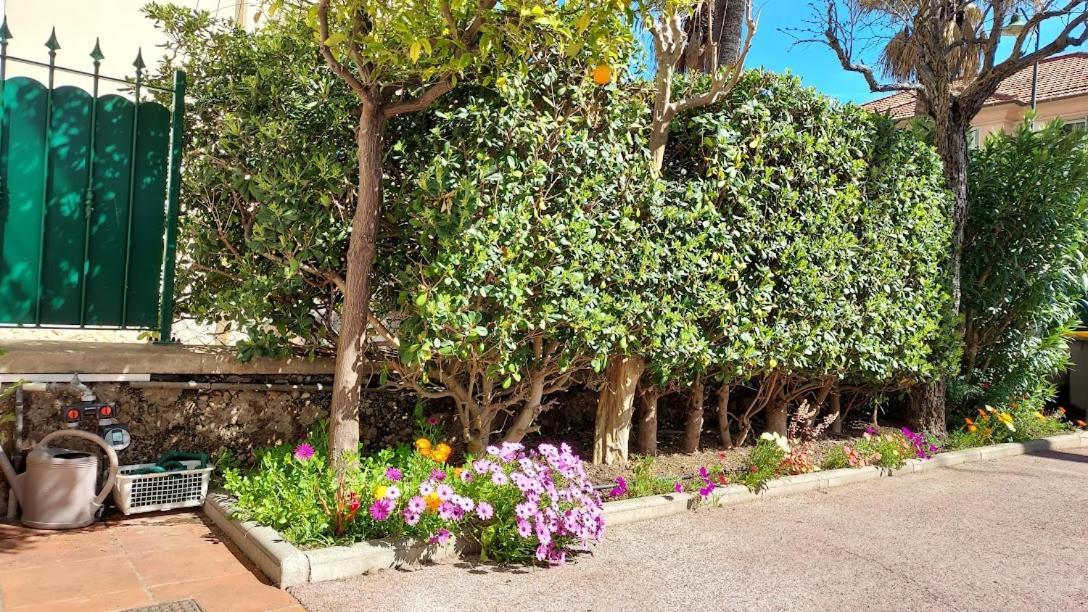 Rez-De-Chaussee Privatif Spacieux 3* D'Une Villa Centre Ville Hyeres Bagian luar foto
